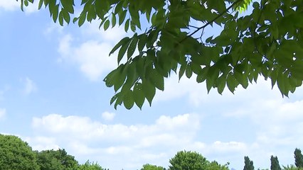 [날씨] 휴일 이맘때 봄 날씨 회복...오후 한때 곳곳 소나기 / YTN