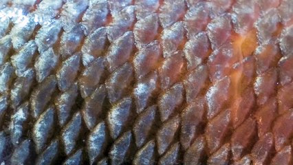 Alexandrina - Um relâmpago ( Teaser - Curta-metragem )