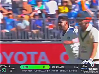 The trending cricket shouts🏏