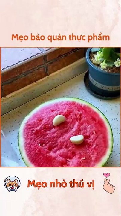 Mẹo bảo quản thực phẩm