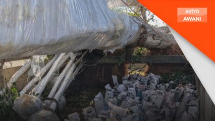 PGA rampas tanaman hiasan, rokok elektronik bernilai lebih RM5 juta