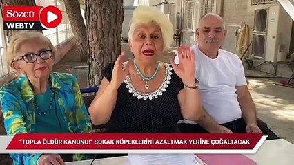 “Topla öldür kanunu!” sokak köpeklerini azaltmak yerine çoğaltacak