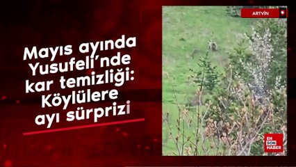 Mayıs ayında Yusufeli'nde kar temizliği: Köylülere ayı sürprizi