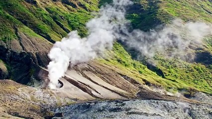 The Humboldt Current - Trailer