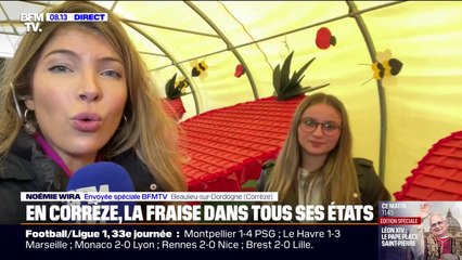 Fraises: quelle variété choisir ?