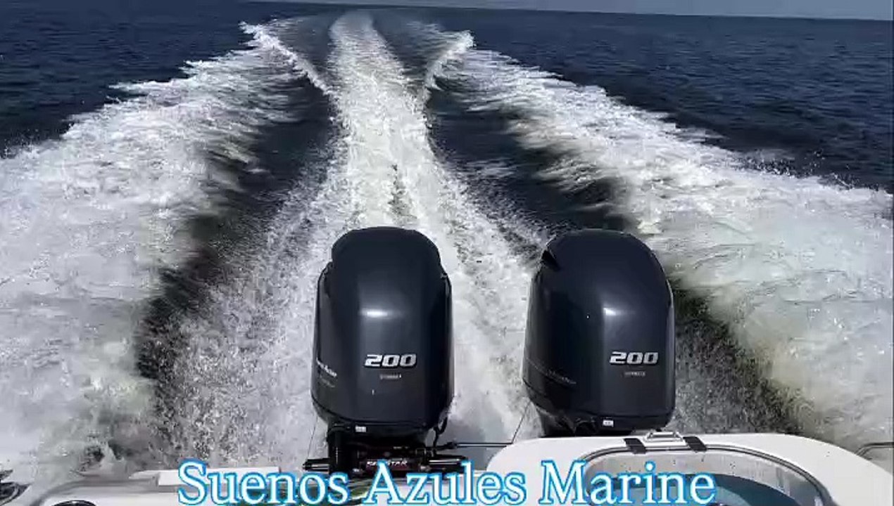 Twin Yamaha F200 Outboard Engines - Suenos Azules Marine Surveying and Consulting