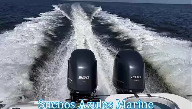 Twin Yamaha F200 Outboard Engines - Suenos Azules Marine Surveying and Consulting