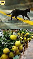 The Decline of Religion || Acharya Prashant