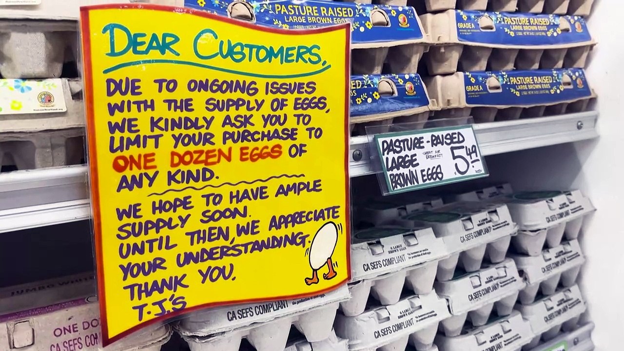 Hohe Eierpreise: Miethennen in den USA der Renner