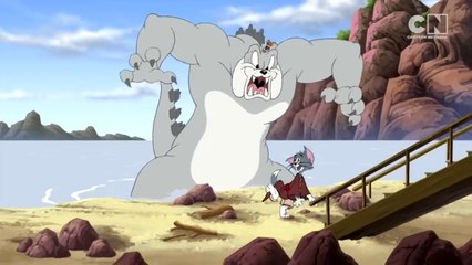 Tom & Jerry | Tom And Jerry Surprie Each Other! 🎉 | Classic Cartoon Compilation