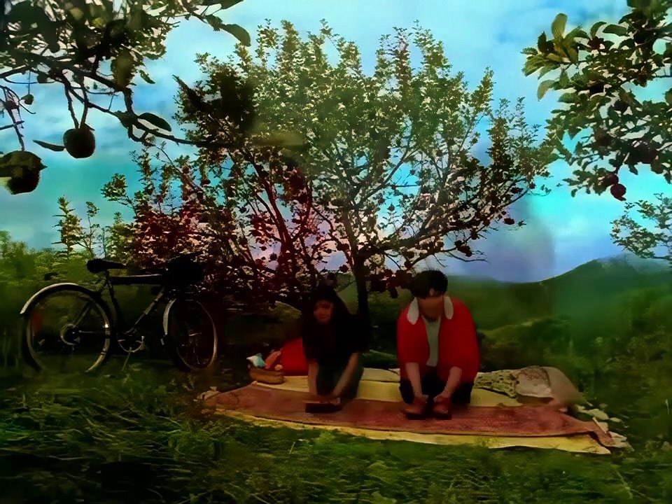 Meri Chunar Udd Udd Jaye 2.0 | Ayesha Takia, Trisha Krishnan, Shahid Kapoor