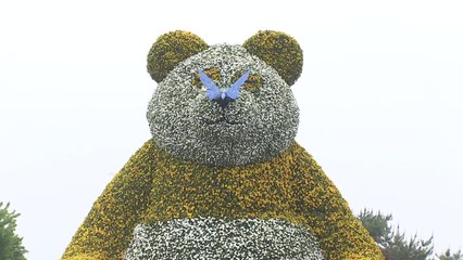 꽃향기에 봄기운 완연...활짝 핀 도심  꽃 박람회 / YTN