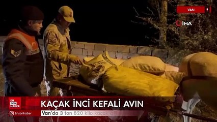 Van’da 3 ton 820 kilo kaçak avlanmış balık ele geçirildi
