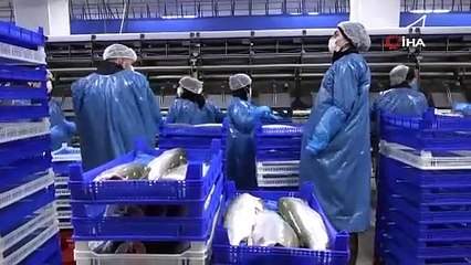 Türkiye, Norveç'i geride bıraktı! 4 ayda 117 milyon doları aştı