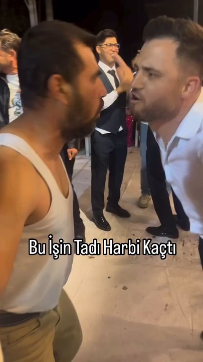 LVBEL C5 HAVHAV