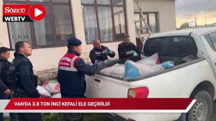 Van'da 3.8 ton inci kefali ele geçirildi