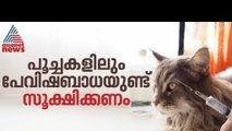 വളർത്ത് പൂച്ചകളിലും പേവിഷബാധയുണ്ട്; ശ്രദ്ധിക്കാം ഇക്കാര്യങ്ങൾ