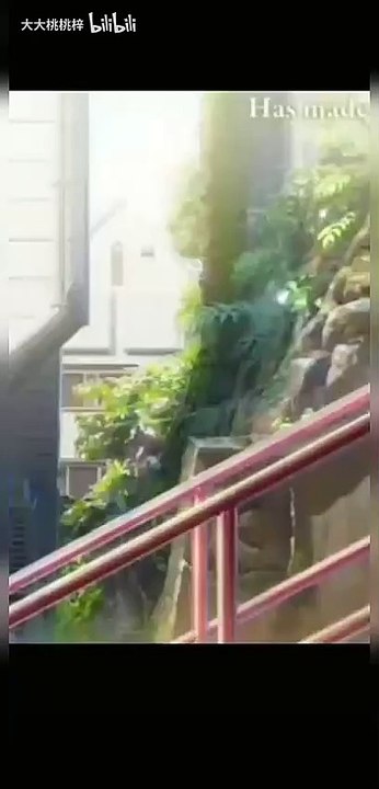 搞笑视频第四期#Hilarious Collection #Funniest Pranks Compilation 2025  #Try Not to Laugh Challenge! 爆笑合集 | 最搞笑的恶作剧合集 2025 | 尽量不要笑挑战！