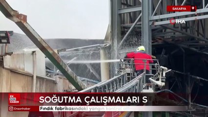 Sakarya'da fındık fabrikasındaki yangın kontrol altına alındı