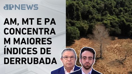 Diogo da Luz e Henrique Krigner analisam aumento no alerta do desmatamento da Amazônia