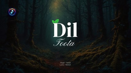 DIL TOOTA (FULL AUDIO SONG) | ENTROROCKS | SOHAIL, NISHANT
