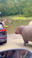 eating watermelon 🍉