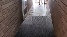 Kangaroo looking creepy in Australia 🇦🇺