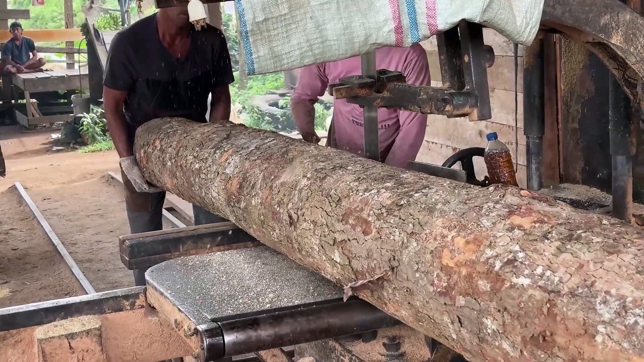 Wood Processing 2x20 Tutorial Sawmill Machine for Beginners