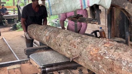 Wood Processing 2x20 Tutorial Sawmill Machine for Beginners