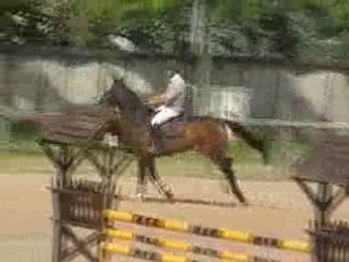 Percute du Murger - Bourg en Bresse 2