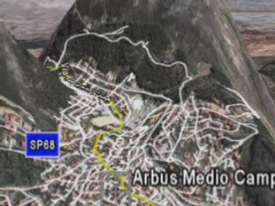Arbus