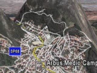 Arbus
