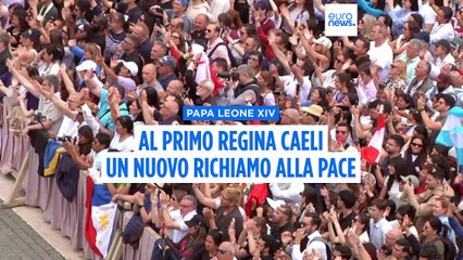 Le notizie del giorno | 11 maggio - Serale