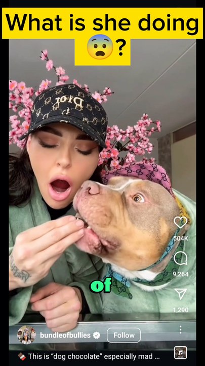 She gave her dog chocolate? But what kind of chocolate #dogshorts #doglife