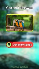 Macaw Quiz: 4 Endangered Species Questions Only Experts Can Answer! 🦜🚨 | Bird Trivia Short