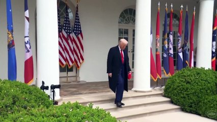 Trump recomienda a Ucrania que acepte "inmediatamente" la oferta de negociación de Putin