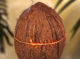 Crack It, Craft It! What You Can Make with Coconuts