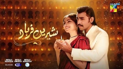Shirin Farhad - Episode 7 Promo - 11th May 2025 - HUM TV