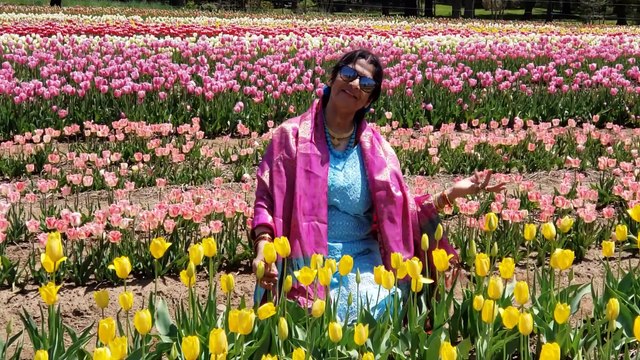 Ae Phoolon Ki Rani by Chitralekha Dixit