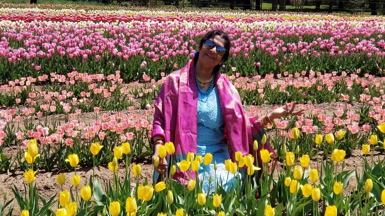 Ae Phoolon Ki Rani by Chitralekha Dixit