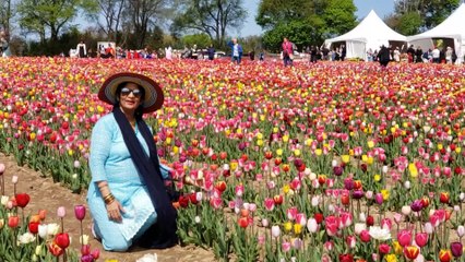 Maine Kaha Phoolon Se by Chitralekha Dixit