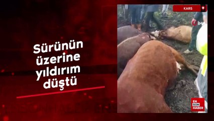 Kars’ta sürünün üzerine yıldırım düştü