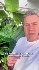 El gobernador de Chaco pidió en un video que los ciudadanos vayan a votar