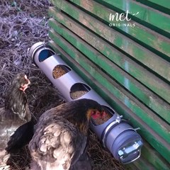 Easy DIY chicken food and water dispenser! 🐔🐥