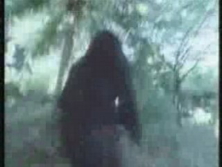Black Uhuru - Fire City -