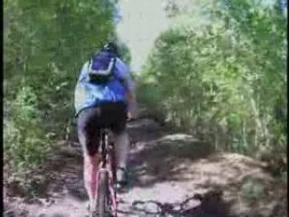 Raismes La forestiere