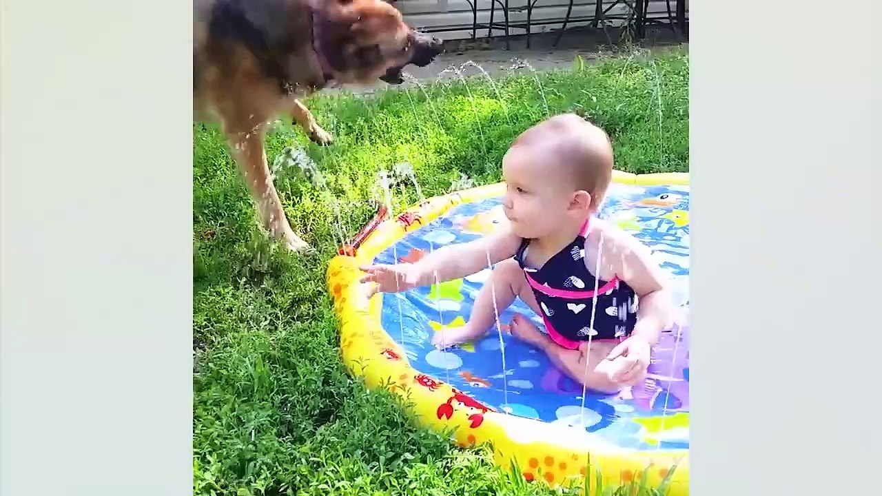 Cute babies funny video