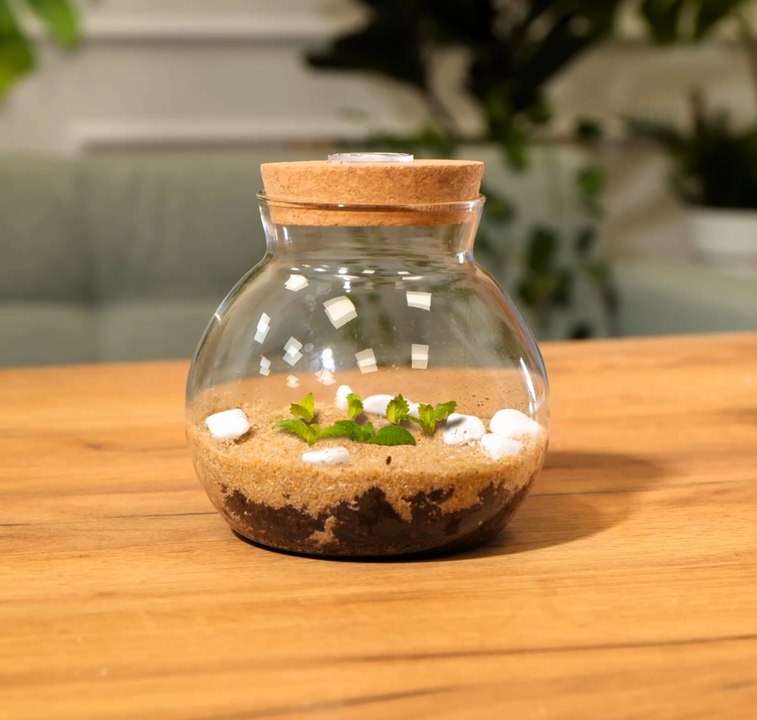 Le jardinage intelligent : Des astuces simples pour augmenter vos récoltes !