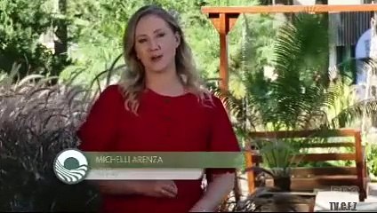 CAMINHOS D0 CAMPO - 11/05/2025