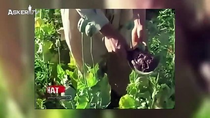 Afganistan ve Orta Doğu’da Savaşın İzleri: Taliban’dan TİKA'ya